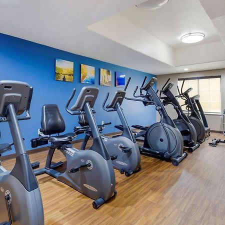 Comfort Inn & Suites Near Six Flags & Medical Center Сан-Антонио Экстерьер фото